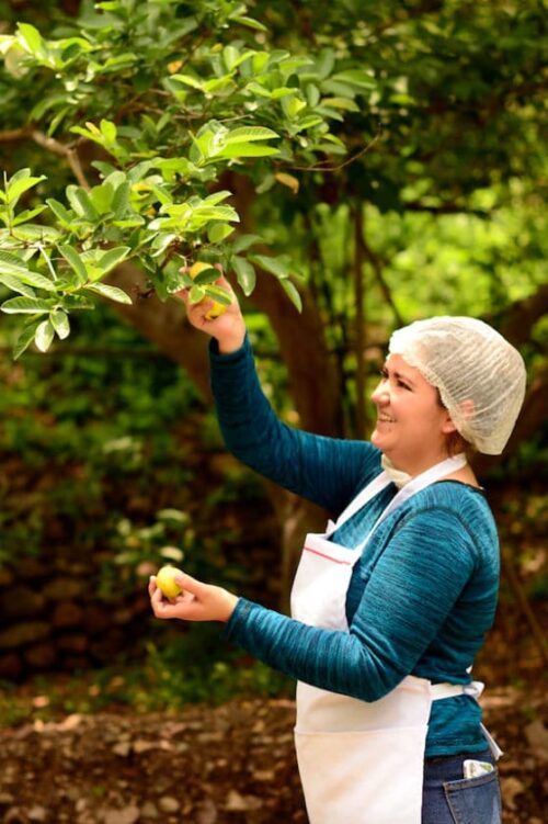 Recorridos A Nuestra Planta De Producción