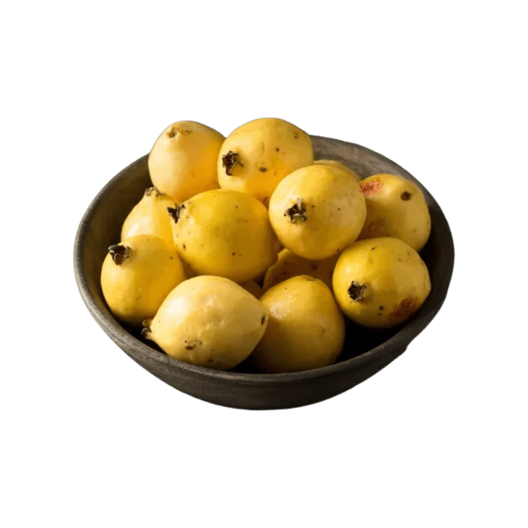 Diseño sin título (69)